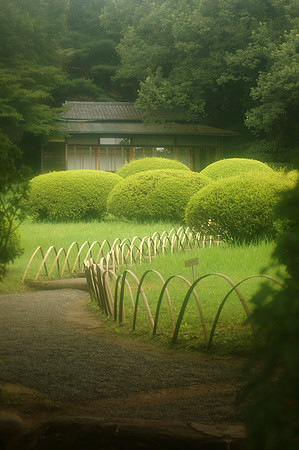 Meiji Jingu Shrine Gyoen, Teahouse