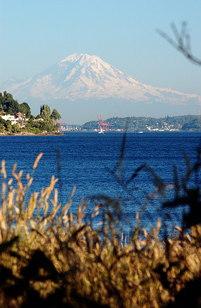 Mount Rainier from Discovery Park