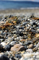 Beach rocks, Carkeek Park