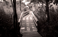 Landscapes / Cityscapes