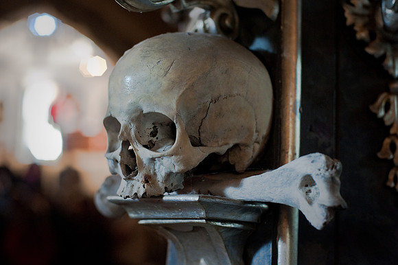 Lone Skull, Sedlec Ossuary